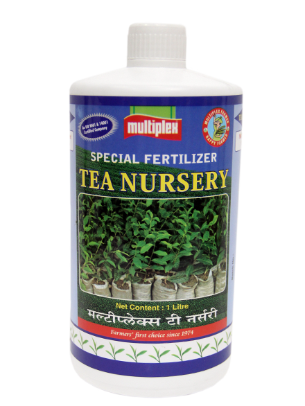 uploads/images/prod/Tea Nursery Special.png